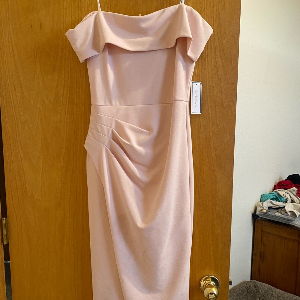 Blush Premier Amour Dress